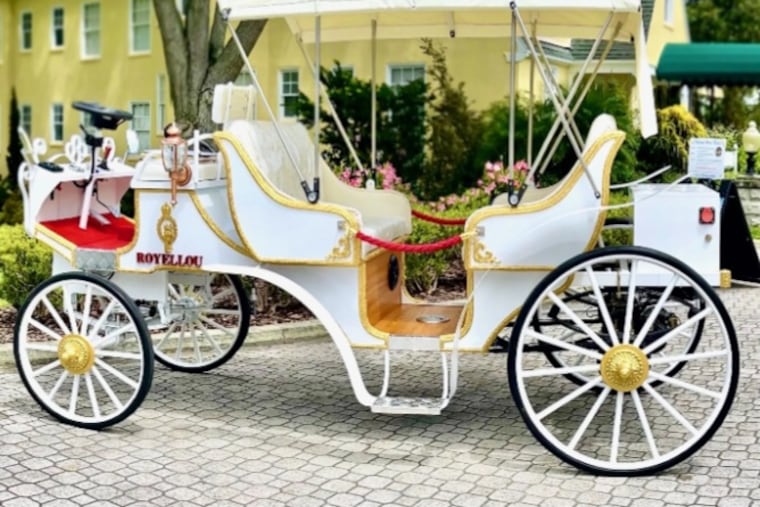 Janet White, director of Carriage Horse Freedom, bought an electric horseless carriage she hopes will hit the streets this year.