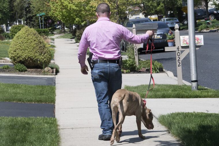 Mark Fiorino is photographed with an open-carry handgun during a walk with his dog " Barrett " in Allentown, Pa. Wednesday, May 9, 2018.