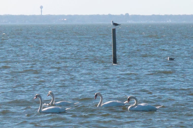 A boating accident in Barnegat Bay on Memorial Day left one man dead when the boat hit a marker.