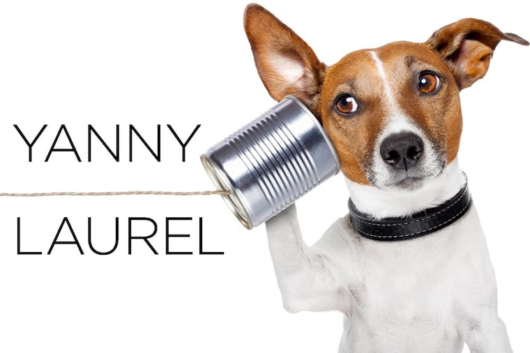 What did you hear? “Yanny” or “laurel?”