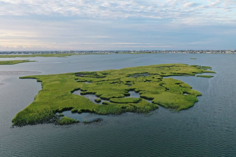 No Mans Island, in Grassy Sound, near West Wildwood, is being sold for $200,000.