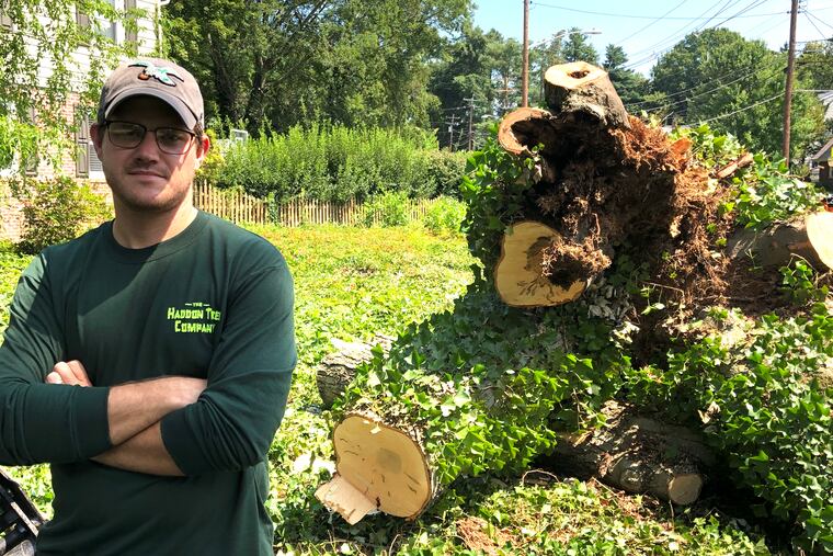 Brian Rattay, a foreman with the Haddon Tree Company, pictured with the remains of a towering red maple his crew recently took down in Haddon Heights.