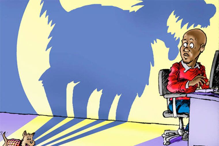 Having a dog is a daunting task.