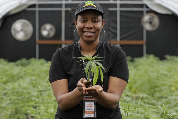 In this April 12, 2018, photo, Joy Hollingsworth, of the Hollingsworth Cannabis Company, poses for a photo, while holding a young marijuana plant in one of her company's pot growing facilities near Shelton, Wash. Hollingsworth family members own a marijuana farm south of Seattle, where they grow about 9,000 plants and employ 30 people at peak harvesting. (AP Photo/Ted S. Warren)