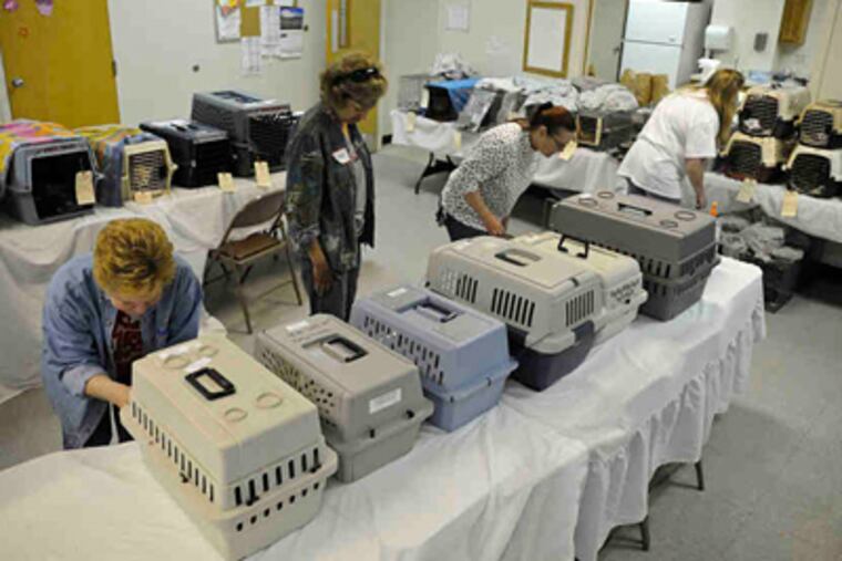 Volunteers tend to the cats after their surgeries in a recovery area at the Camden County Animal Shelter's clinic.(Ron Tarver / Staff Photographer)