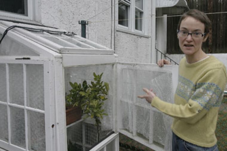 Jennifer Ryan is standing by a little greenhouse located in backside of her Roxborough row house. (Akira Suwa / Staff Photographer )