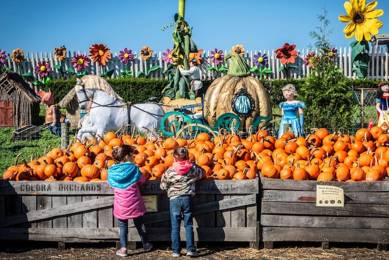 Media's Linvilla Orchards hosts its annual Pumpkinland, with pay-to-participate hayrides, apple blasting, a corn maze, and more from Sept. 11 through Nov. 8, 2021.