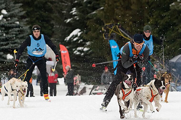 A skijoring competition. (Steven Donahue/Nestle Purina PetCare/PRNewsFoto/AP)