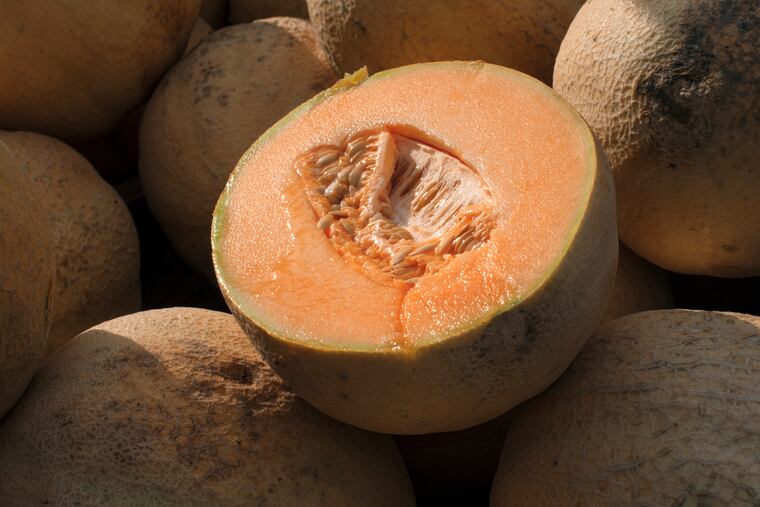 U.S. health officials recalled three more brands of whole and pre-cut cantaloupes last week, as the number of people sickened by salmonella more than doubled.