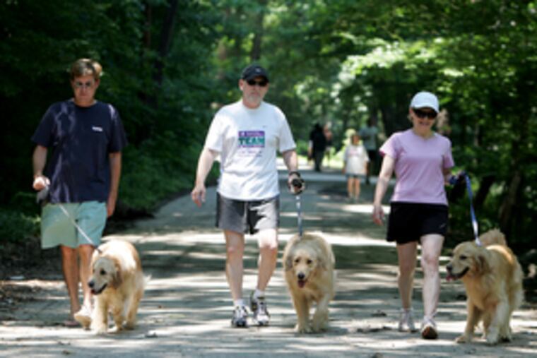 On a stroll at Ridley Creek State Park with their golden retrievers , Frank Baer (left), and Mel and Valerie Burgis were musing yesterday on where they'll walk their dogs if Pennsylvania's state parks are closed today because of a government shut-down.