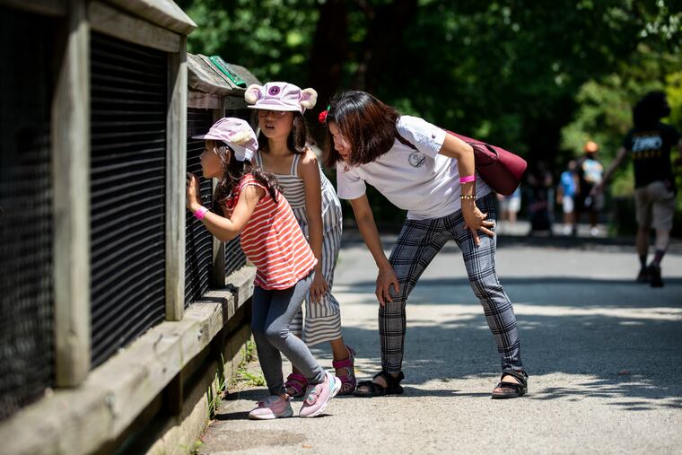 Maybawknoe Galau, 4, Sengmun Galau, 7, and their mom, Jaseng Pan, look at the animals at the Philadelphia Zoo on Sunday, during a celebration of World Refugee Day.