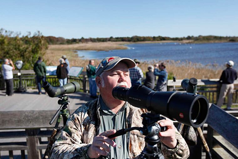 Warren J. Lilley Jr., 64, a member of the Audubon Society of Atlantic County, watches birds at Cape May Point State Park. Several thousand birders attended the three-day Cape May Autumn Birding Festival, which included field trips, lectures, demonstrations, and exhibits.