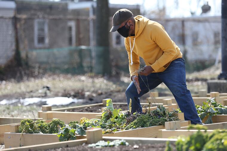 Joe Johnson checks on one of the beds at the community garden in Pleasant Playground.