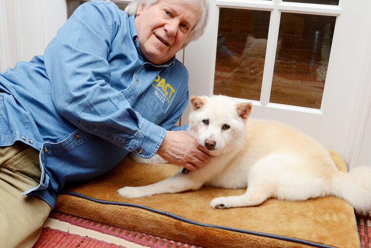Buzz Miller, a Main Line resident, founded the nonprofit PACT for Animals. Miller pets his dog Sukie, a 17-year-old Shiba Inu, who is deaf and blind, as she rests on her pillow.
