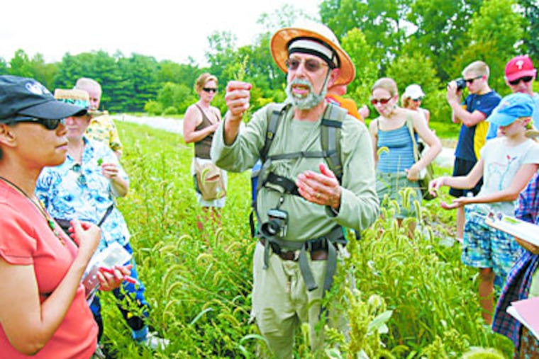 Steve "Wildman" Brill leads a trek around Horsham's Pennypack Farm looking for edible weeds. His career took off after his 1986 arrest in Central Park. (Charles Fox / Staff Photographer)