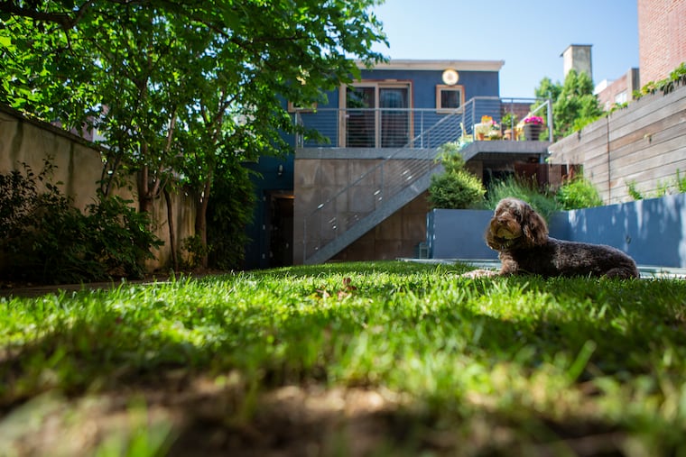The historic rowhouses designed in the early 19th century by Thomas Ustick Walter had an unusual element: a back yard or green space. The current owners of one of those homes, Jinous Kazemi and Howard Verlin, updated their space with a "plunge" pool, outdoor shower, shaded seating, and landscaping.