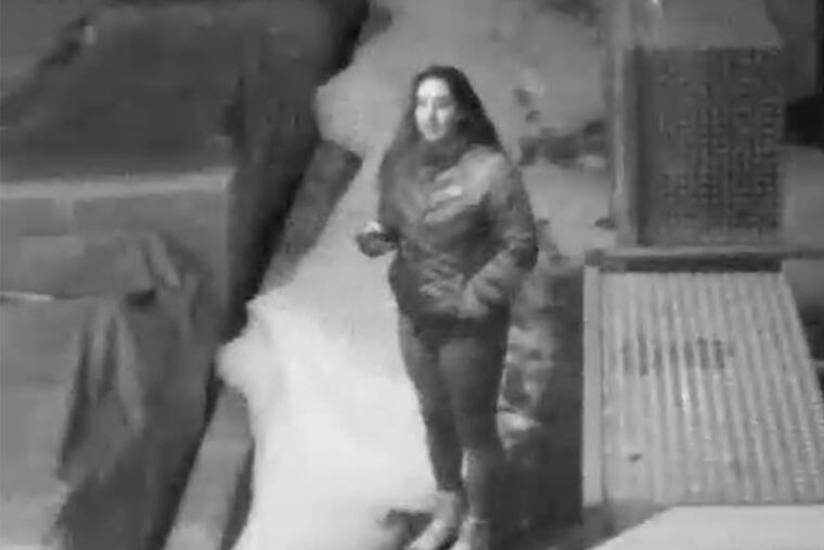 Police are looking to identify four individuals who broke into Dorney Park, climbed the nearly 200ft. Dominator ride and removed a park flag.