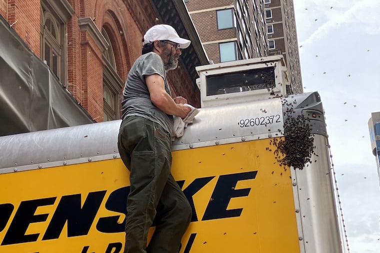 Beekeeper Eric Schoefer sizing up the bee swarm that latched onto Opera Philadelphia's rental truck on May 7, 2023.