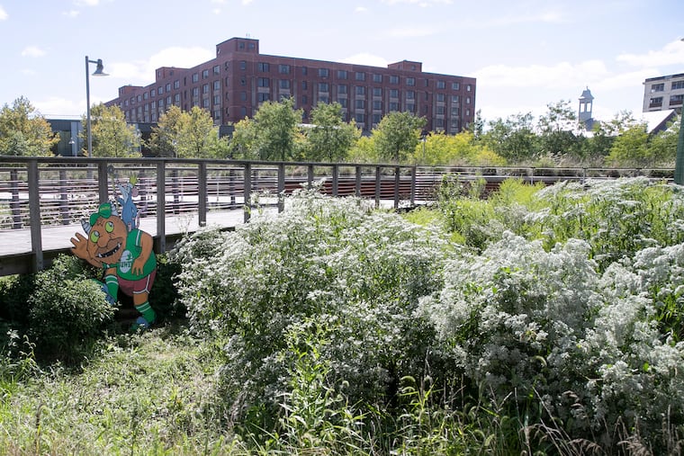 “Where the Wild Jawns Are,” a collaboration between artists Kid Hazo and South Fellini at the Navy Yard.