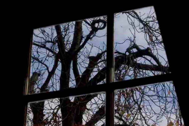 The monumental tree in 2007 , as seen from the attic window in the secret annex in Amsterdam where Anne Frank and her family hid from the Nazis for two years.