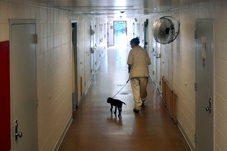 A file photograph from New Jersey's Edna Mahan Correctional Facility for women shows a prisoner walking a puppy down a cell block hallway as part of a program called Puppies Behind Bars.