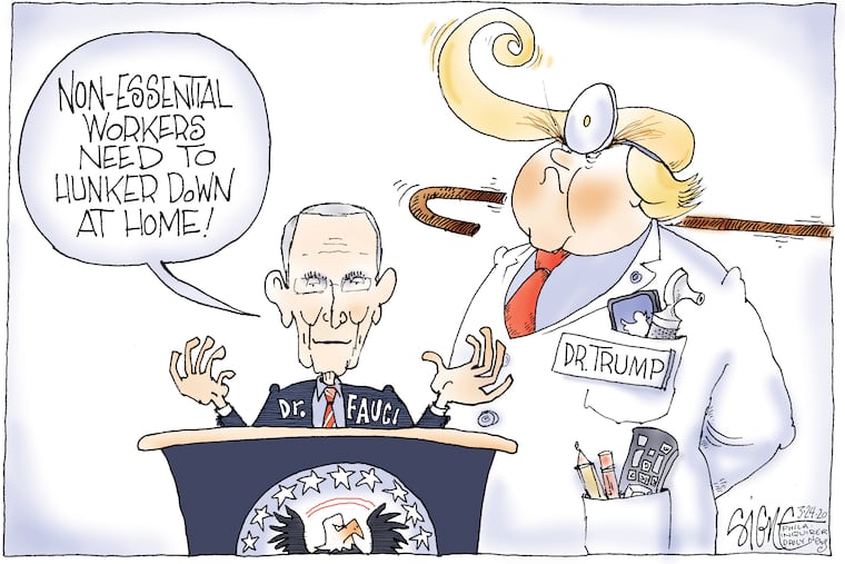 Essential coronavirus health experts.