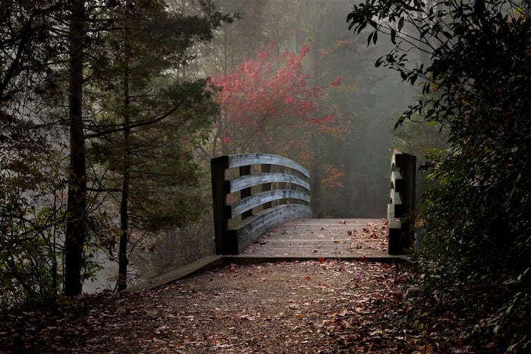 The Pinelands Preservation Alliance announced the winners Nov. 3, 2018 of its second annual juried photo competition. This is the overall 1st place winner by Dennis Abriola.