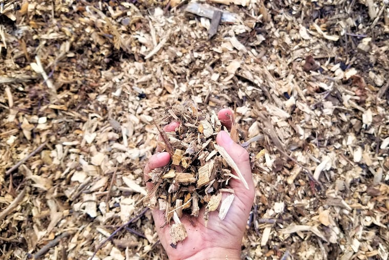 Wood chips at Philadelphia's Fairmount Park Organic Recycling Center.