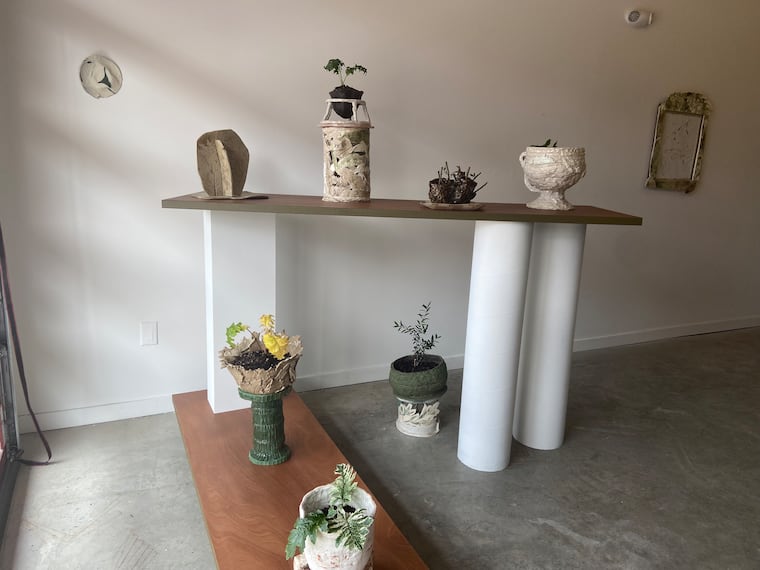 A collection of ceramics and living plant installations, representing artist Kaitlin Pomerantz's emphasis on the importance of ecological growth.