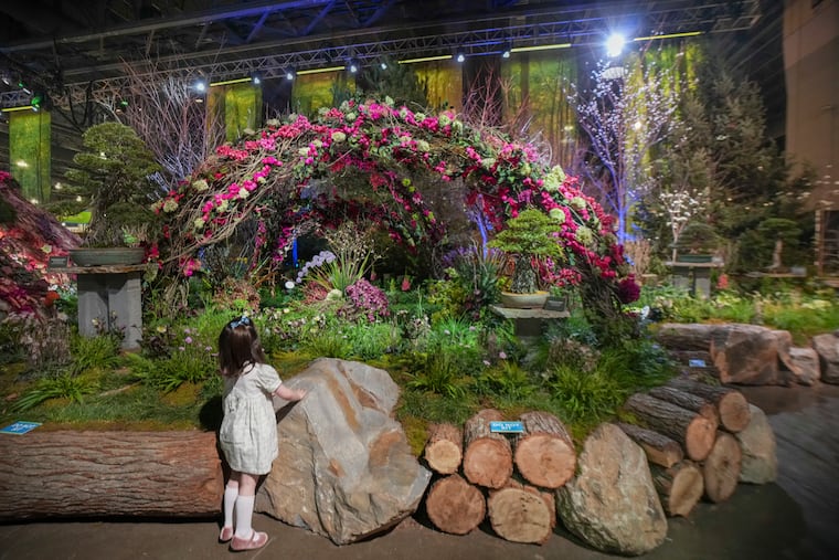 Margaret Strevy looks at an exhibit at the the Philadelphia Flower Show Friday.