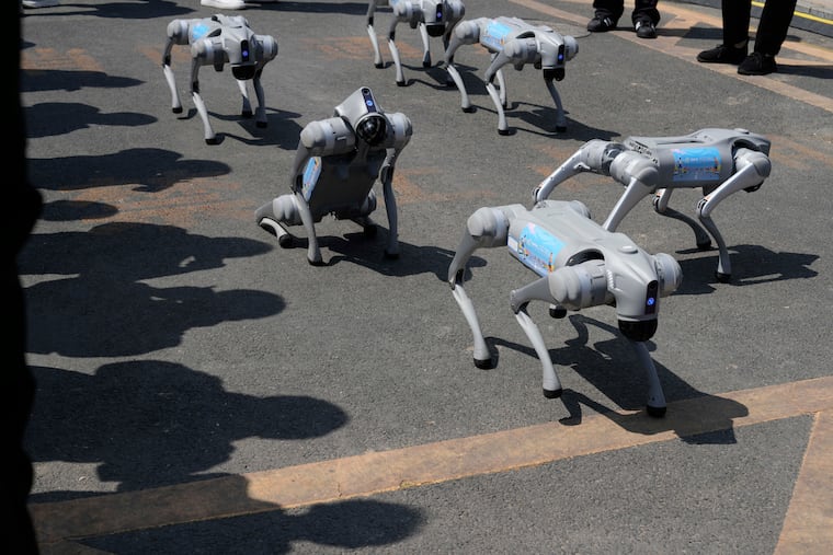Four-legged robots perform before the award ceremony for the Humanoid Robot Half-Marathon held in Beijing in April.