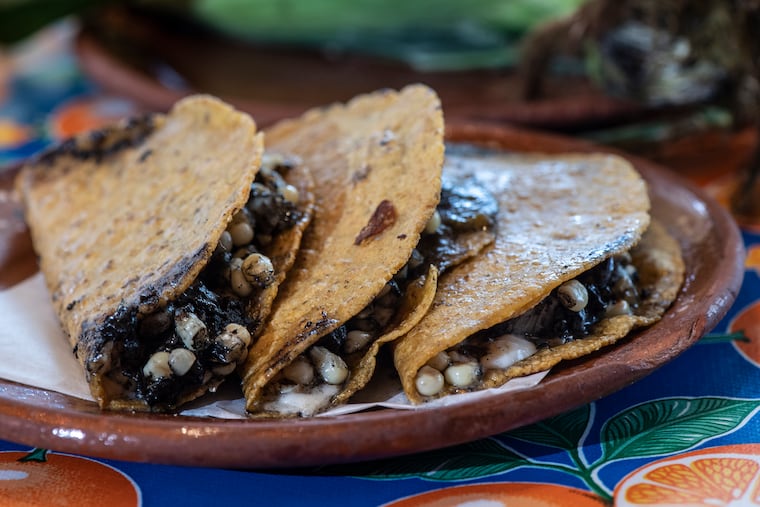Huitlacoche quesadillas at South Philly Barbacoa Restaurant in Philadelphia, Pa.