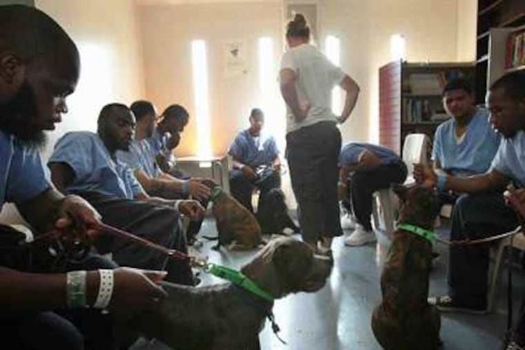 Prisoners with the Philadelphia Prison System and New Leash on LIfe USA on Friday, August 19, 2011. The program provides a dog with inmate for training. Standing in center of group is dog trainer Nicole Larocco. Alejandro A. Alvarez / Philadelphia Daily News