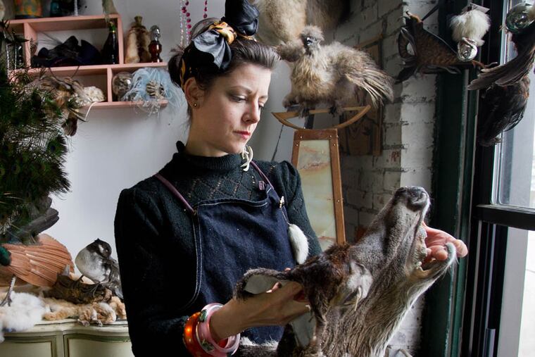 Beth Beverly of Diamond Tooth Taxidermy located on the 2600 block of Martha St. in Philadelphia. Photograph of Beth in her studio on Friday afternoon October 31, 2014. She is participating in the Philadelphia, Alt-Taxidermy competition. ( ALEJANDRO A. ALVAREZ / STAFF PHOTOGRAPHER )