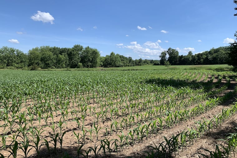 The Blue Rock Farm in Bedminster, Bucks County, has been preserved under a $1.36 million deal, according to the Heritage Conservancy.