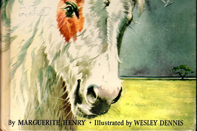 Misty of Chincoteague