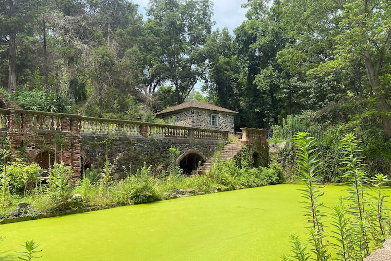 The Lower Pool, with its surreal green glow of duckweed, is a pond terrace that conveys the charm and mystique of a garden built between the world wars by a du Pont heiress and her husband.