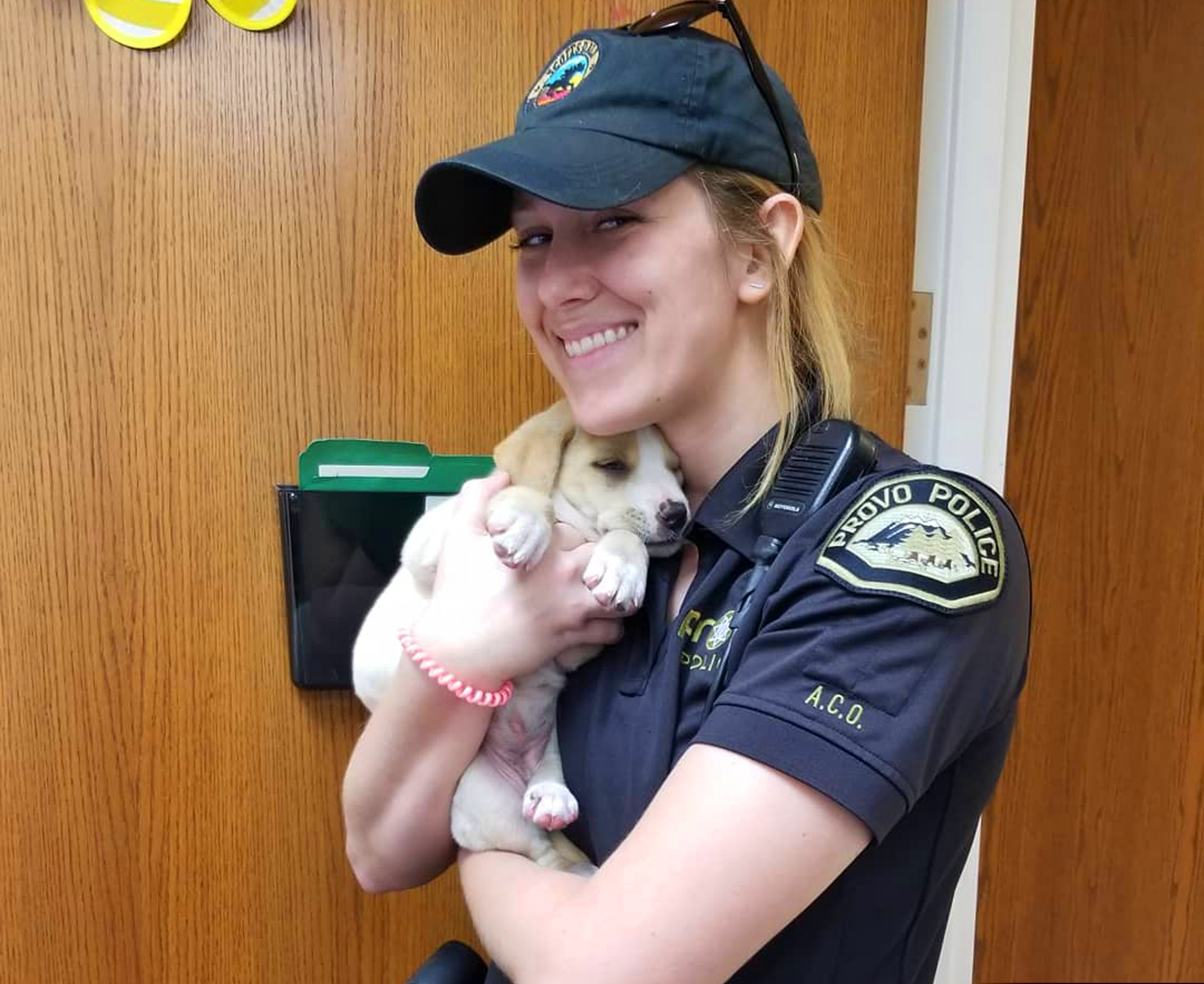 This photo provided by the Provo Police Department shows Animal Control Officer Elena Farnsworth holding a puppy that was rescued after she and her owner were trapped in a moving garbage truck in Provo, Utah, Tuesday, June 4, 2019. Provo Police Sgt. Nisha King said Tuesday officers rescued the puppy and her 43-year-old owner earlier that morning. They were sleeping in the dumpster when the truck collected and compacted the bin's contents with them still inside. The driver stopped the machine after hearing the man call for help. He sustained minor injuries. (Provo Police Department via AP)