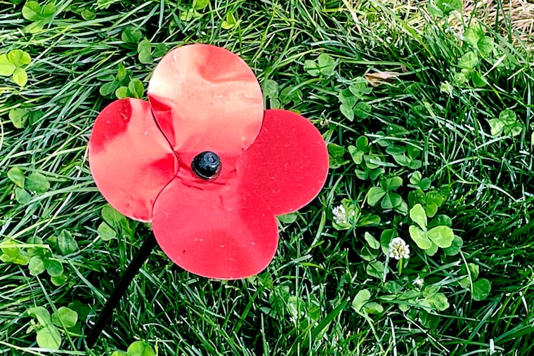 In the United States the flower is traditionally worn on Memorial Day.