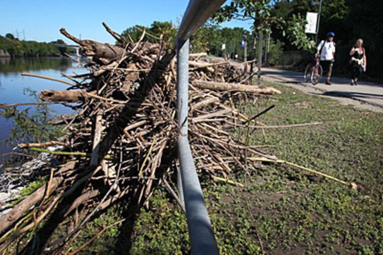 Debris from the Schuylkill River litters the bank of the Schuylkill River Park in Philadelphia on Tuesday. The rain from Hurricane Irene cause the river to overflow and send debris onto the park trail. (Alejandro A. Alvarez / Staff Photographer)