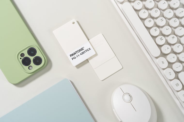 The Pantone Color of the Year is Cloud Dancer. The soft white represents a clean palette, a fresh start, shift and change. It stands out against pastels.