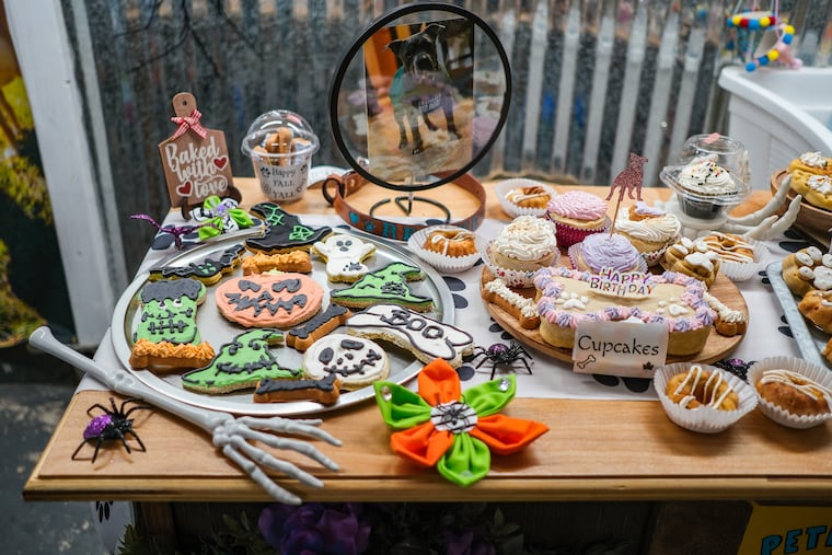 An assortment of dog-friendly baked goods from Pete’s K9 Treats in Glendora, an allergy-safe pet bakery that owner Nicole Morelli-Sutter named after her pit bull.