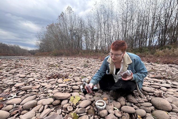 Sierra Weir of Pittsburgh was an artist-in-residency of the Susquehanna River Watershed. She's pictured sourcing materials along Loyalsock Creek in Montoursville, Lycoming County.