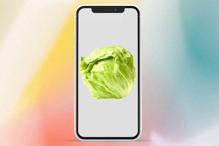 From a head of lettuce outlasting Liz Truss as prime minister to Olivia Wilde's salad dressing, it's been a big week for lettuce on the internet.
