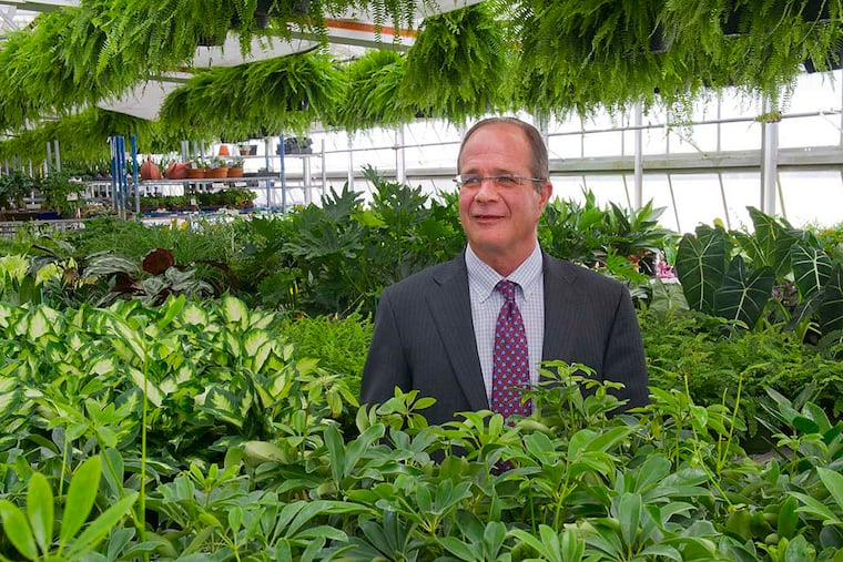 John "Jack" Chidester brought a love of hydrangeas to the job, but finds it hard to say no to alstroemeria.