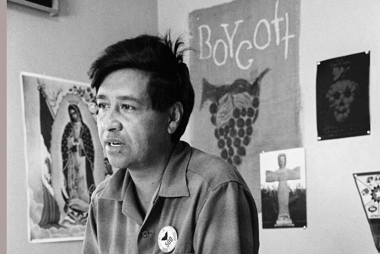 FILE - Cesar Chavez, a farm worker, labor organizer and leader of the California grape strike, is seen in a California works office in 1965. (AP Photo, George Brich, File)