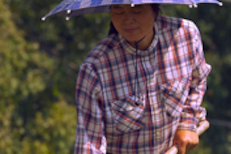 On three Chester County acres Xiuqin Qin grows produce for market.
