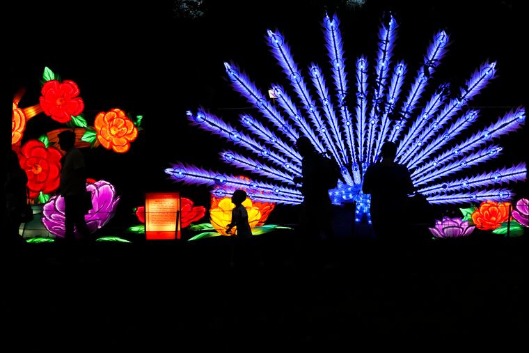 Visitors are silhouetted against the Birds & Flowers display.