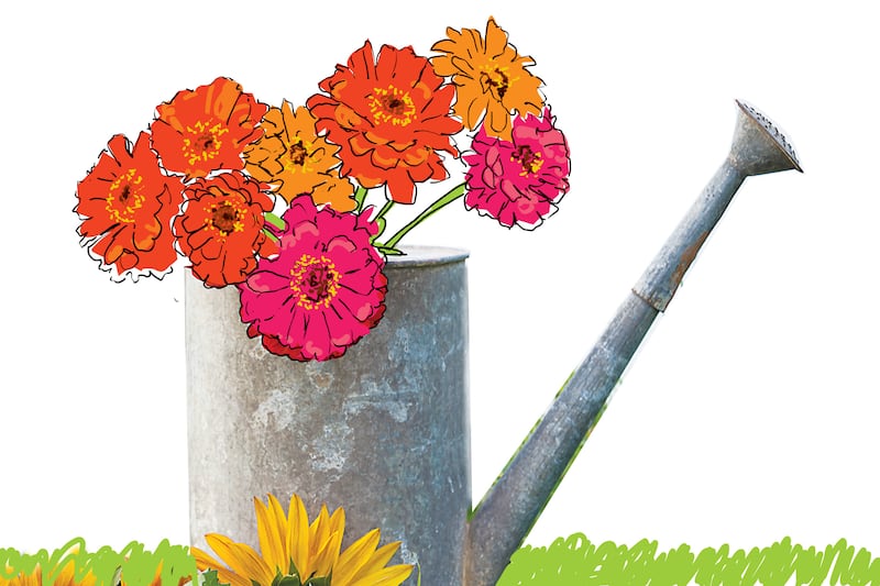 Where to pick your own flowers near Philadelphia