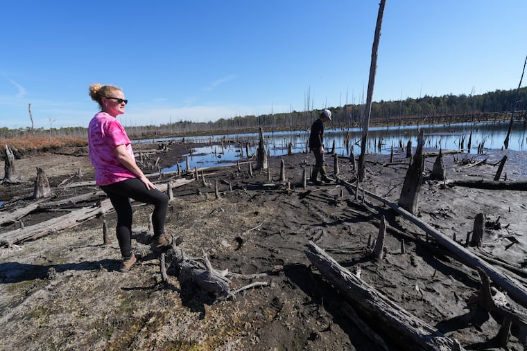 Jennifer Lee and Andrew Lee stand in the reservoir that is low because the drought at the Lee Bros.Cranberry Farm in Chatsworth, Thursday, Oct. 31, 2024. The reservoir is the main water source that floods the bogs.